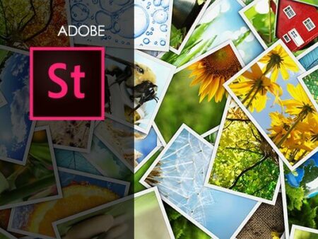 Adobe Stock Training