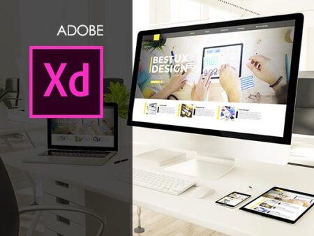 Adobe XD Training