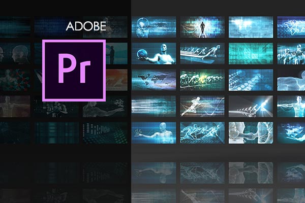 Adobe Premiere Pro Training